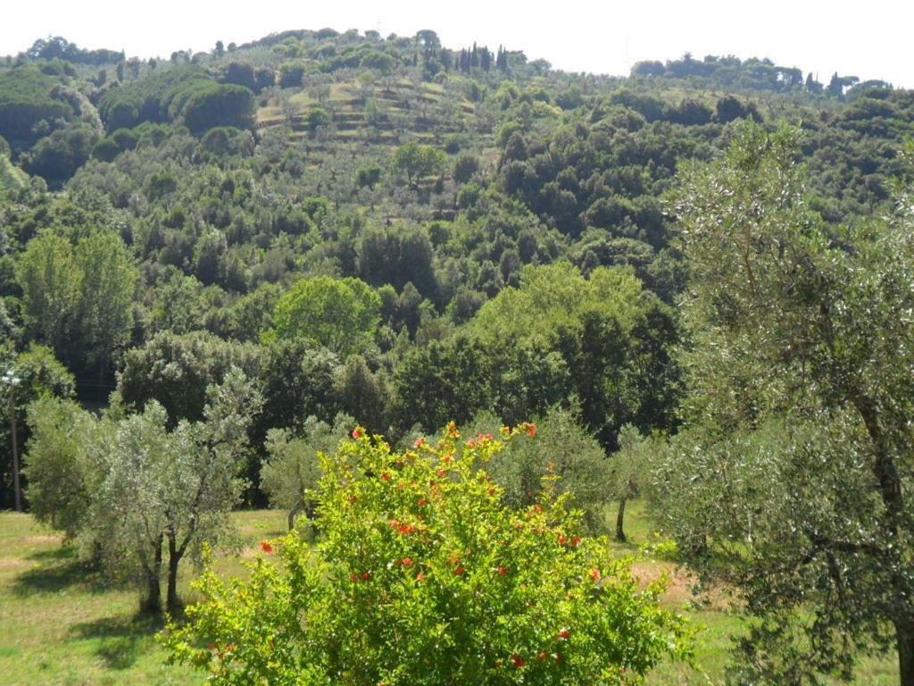 Le Catre Bauernhof Castagneto Carducci