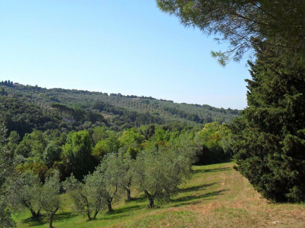 Le Catre * Castagneto Carducci
