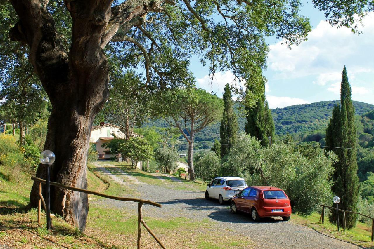 Le Catre * Castagneto Carducci