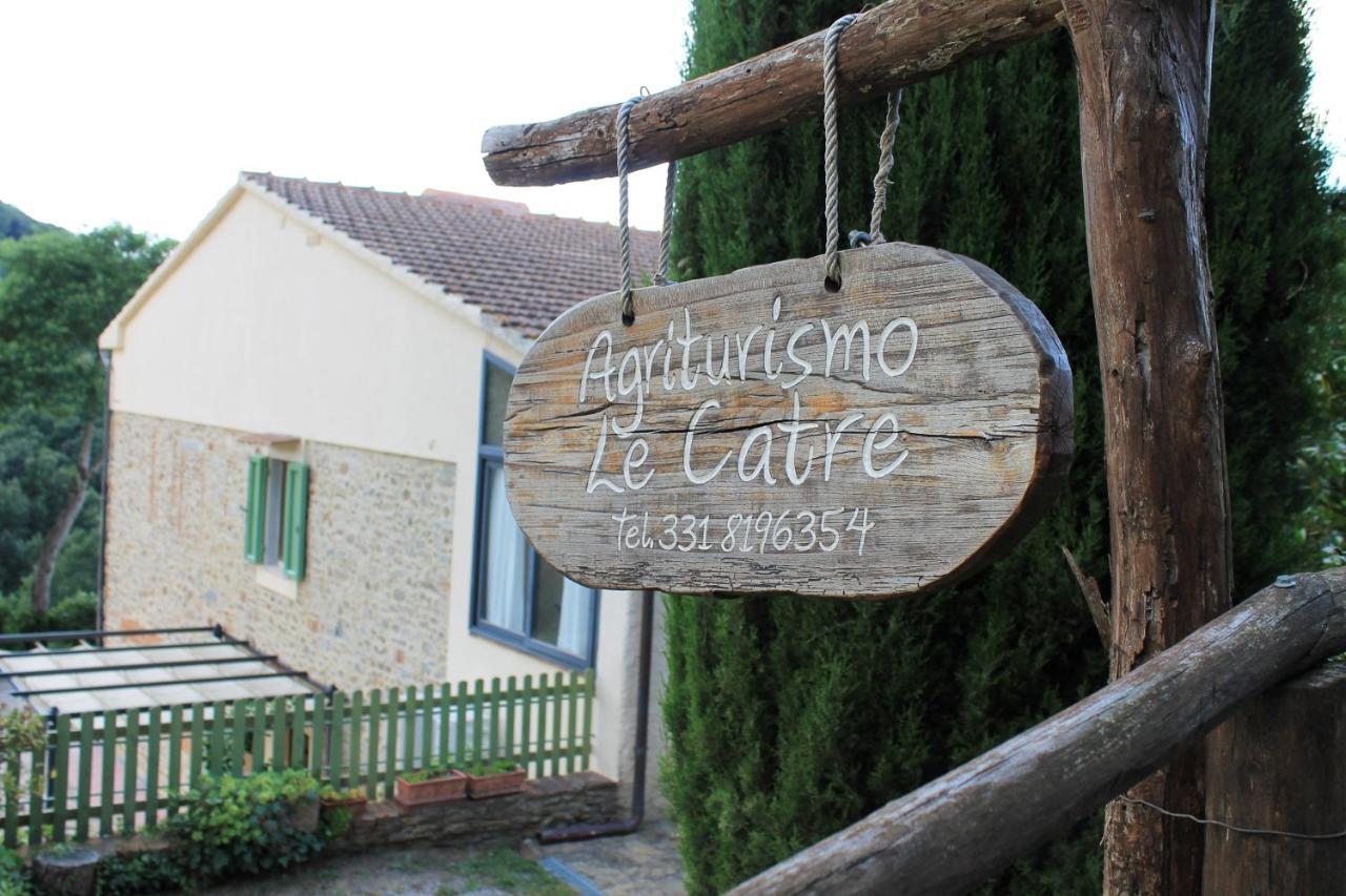 Le Catre * Castagneto Carducci